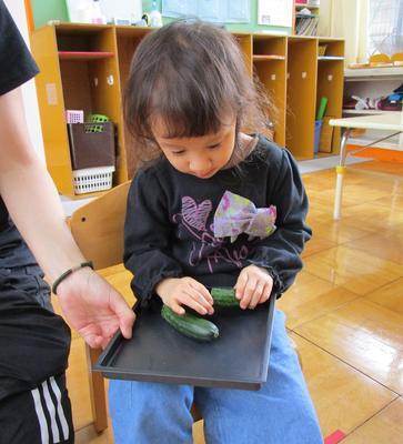 きゅうりをぽきっ