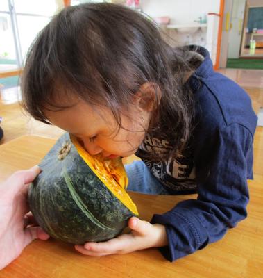 かぼちゃの中を匂ってみよう