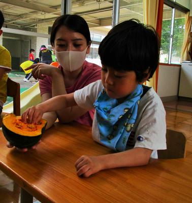 かぼちゃの中には種があるんだ