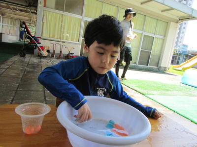 水着に着替えて、バケツの中の宝を探している。