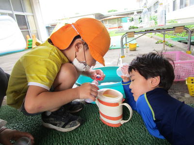 色水遊び！赤色と青色を混ぜたら何色になるかな？