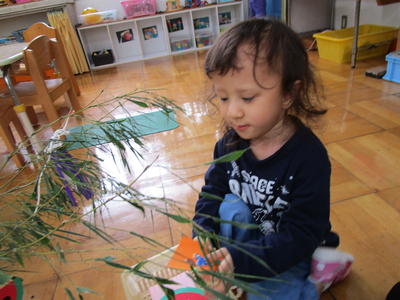 笹さん、お願いごと叶えてね。