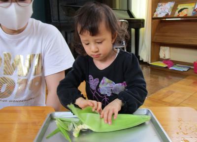 とうもろこしの皮をむいたよ。