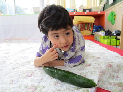 収穫したきゅうりと一緒にポーズを決めている
