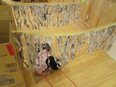 紙のトンネルをくぐっているよ！