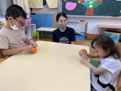 柿の感触や形を見て、触って確かめたよ！