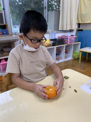 手で柿のヘタがむけたよ！