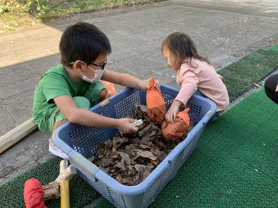 落ち葉の中から宝物見っけ！