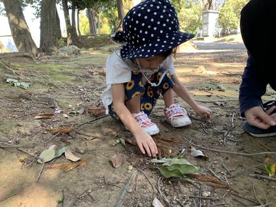 地面を触ってどんぐりを探したよ。