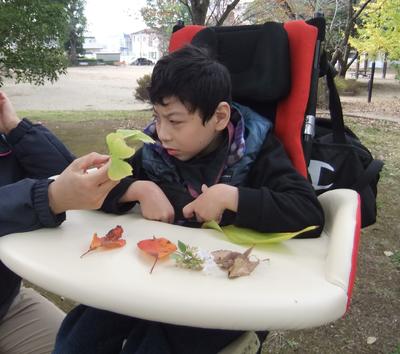 いろいろな色があるね。