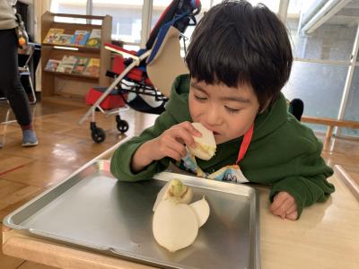 生のかぶを思わずがぶり