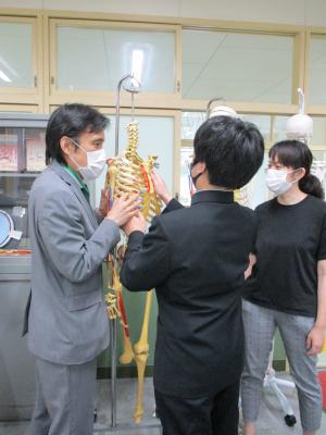 骨格標本の観察