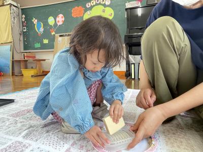 カチカチの豆腐をすりおろしてみたよ！