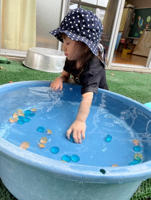 お宝をたくさん探したよ！