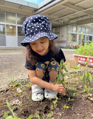 うんとこしょ！どっこいしょ！