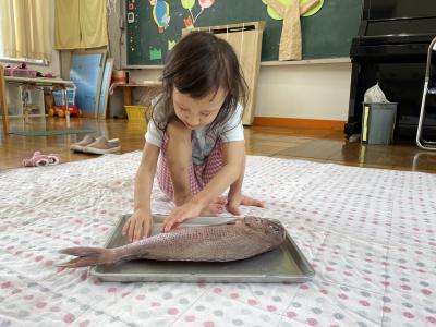 タイをじっくり触ったよ！