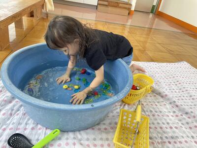 宝はどこだ！？