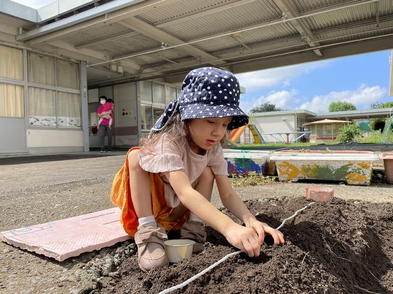 大根の種まき　そっとそっとまいたよ。