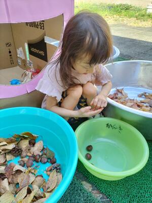 どんぐりがあった！