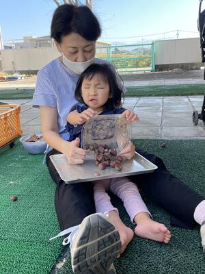 クリもあったよ！