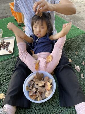 落ち葉がひらひら！