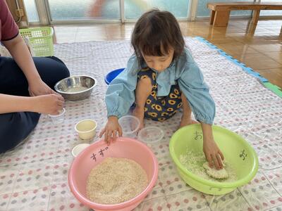パン粉の団子ができたよ。