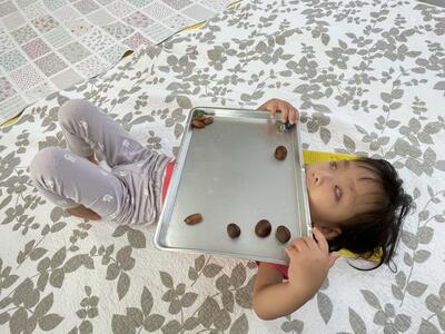 どんぐりころころ･･･ころがるよ！