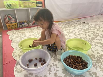 かたちが　ちがうよ。