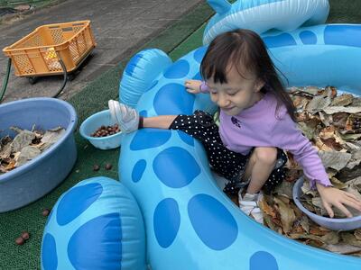 おちばも、いっぱい！