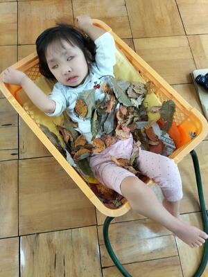 私は、落ち葉電車でいったよ。