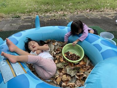 落ち葉プールに　入ったよ。