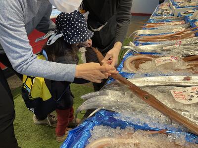 長ーい魚を触ったよ！