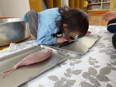 生魚のにおいがしたよ。