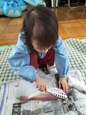 魚のうろこ取り、上手になったよ。.