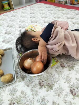 玉ねぎの皮　ガサガサする！