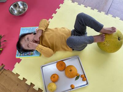 晩白柚　足で蹴ると　ポンポン音がする。