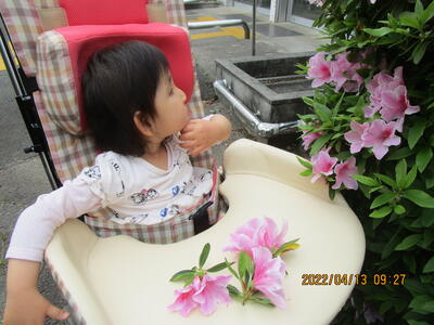 大きなお花だ！