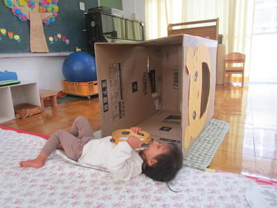 段ボール、まだ、ちょっと警戒中！