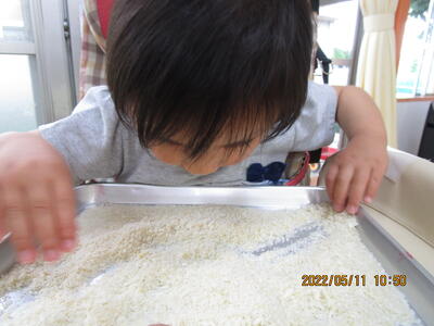 パン粉は、ザラザラするね。