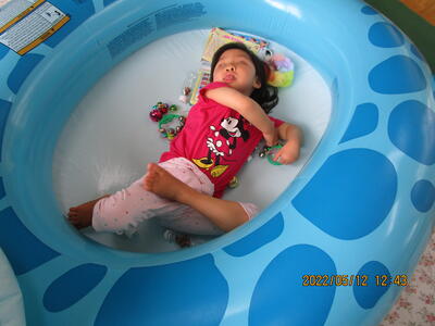 かばさんプールで遊んでいます！