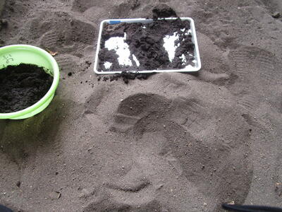 濡れた砂に足を付けれたよ