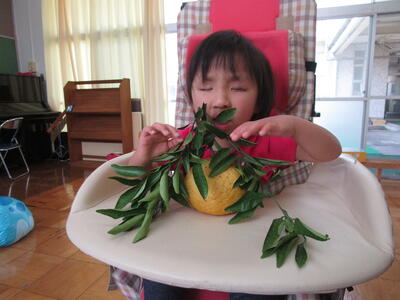 学校に大きなミカンがなってたよ！