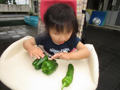 ツルツルする。なんだろう？