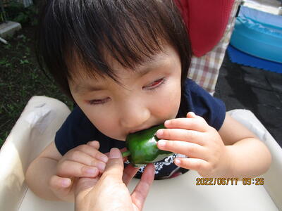 かじって　みよう！！