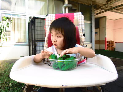 まだ、ピーマンがたくさんとれたよ。