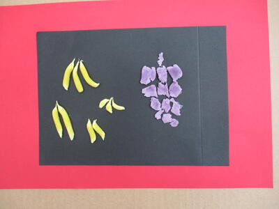 粘土遊びをしました。上手にちぎることができたよ。