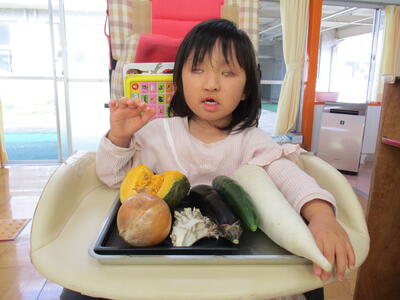 野菜をいっぱい触りました。