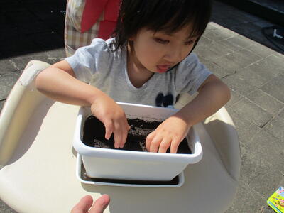 種を蒔いたよ！