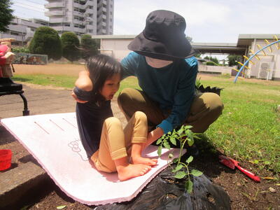 育つといいな！