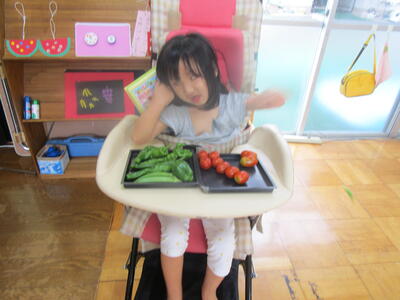 毎日いっぱい収穫してるよ！